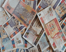 header image 2